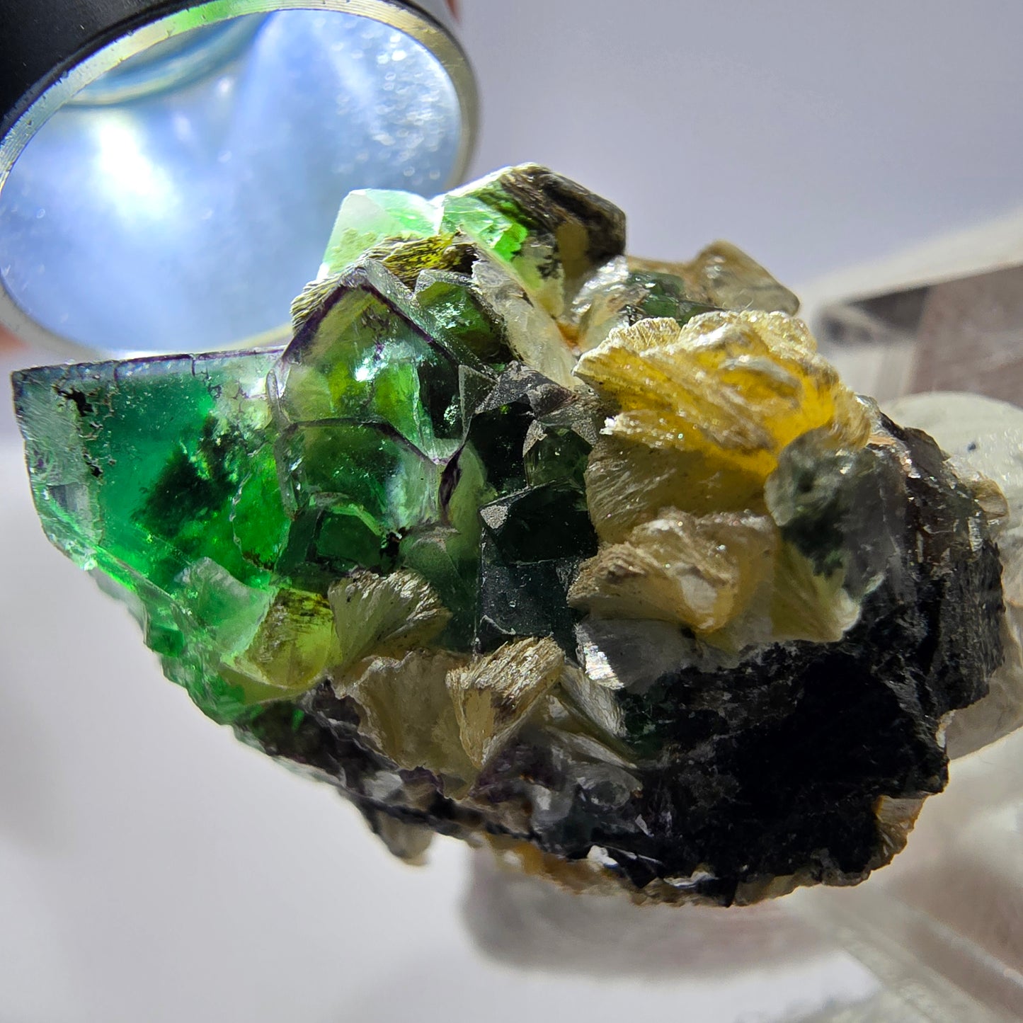 Spécimen de cube de fluorite fantôme zonal, de muscovite et de tourmaline Schorl, Erongo, Namibie, 31 x 24 x 27 mm 
