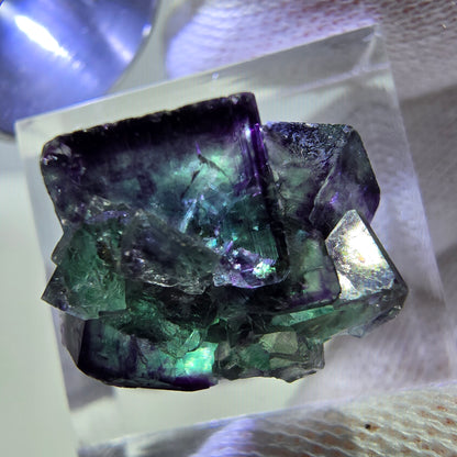 Spécimen de cube de fluorite fantôme zonal, vert violet Okorusu, Namibie 19*15*13mm 