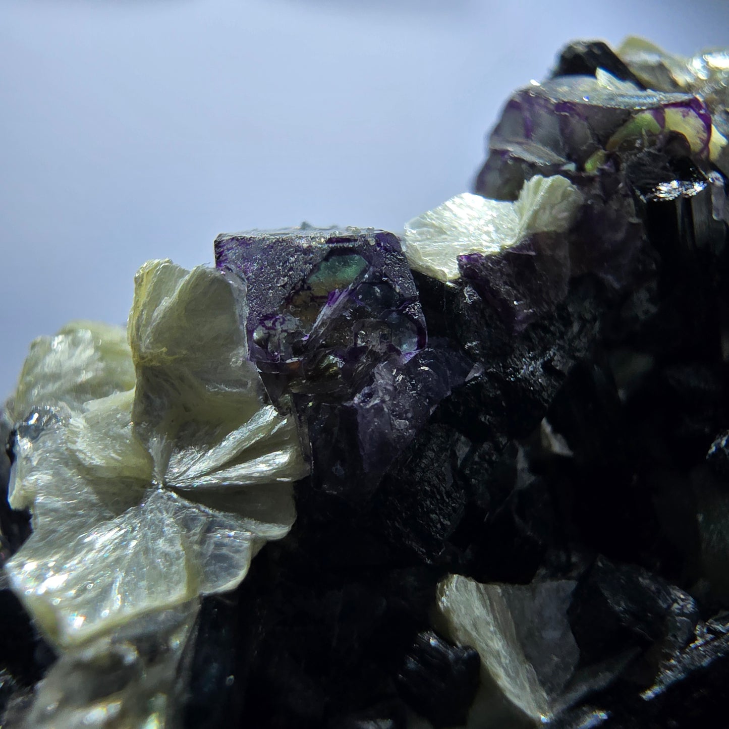 Fluorite fantôme colorée, tourmaline schol, muscovite, quartz fumé, Erongo, Namibie, 99 x 80 x 51 mm 