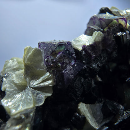 Fluorite fantôme colorée, tourmaline schol, muscovite, quartz fumé, Erongo, Namibie, 99 x 80 x 51 mm 