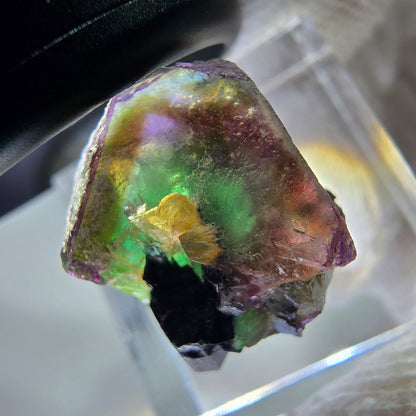 Cubes de fluorite fantôme colorés, spécimen de tourmaline Schorl, Erongo, Namibie, 17 x 16 x 13 mm 