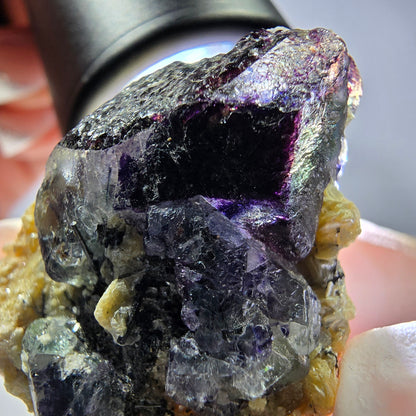 Cube de fluorite fantôme, zonal, muscovite, spécimen de tourmaline Schorl, Erongo, Namibie, 33 x 27 x 13 mm 