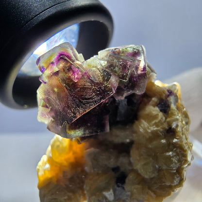 Cubes de fluorite fantôme colorés, spécimen de muscovite, Erongo, Namibie, 43 x 35 x 25 mm 