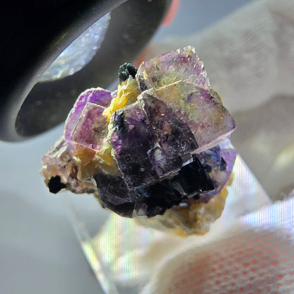 Spécimen de fluorite fantôme colorée, tourmaline scholle, muscovite, Erongo, Namibie, 25 x 22 x 14 mm 