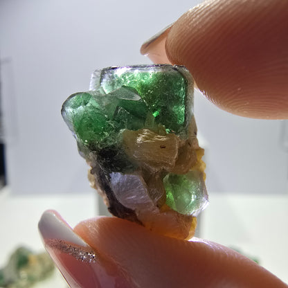 Lot de 16 tourmalines Schörl, fluorite fantôme, hyalite, stade muscovite, Erongo, Namibie 
