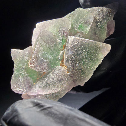 Phantom Fluorite Cube Tier Vert Violet Okorusu, Namibie 46*29*12mm Collection