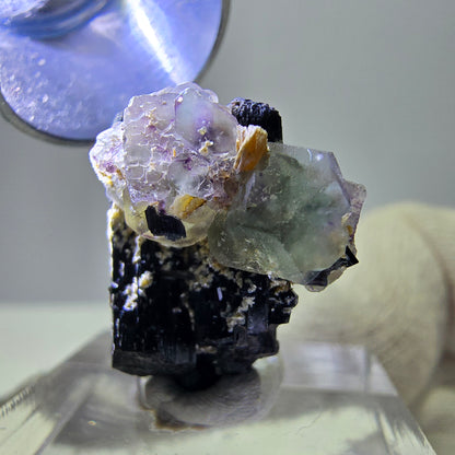 Spécimen de tourmaline Schorl hexagonale en fluorite fantôme, Erongo, Namibie, 21 x 17 x 12 mm 