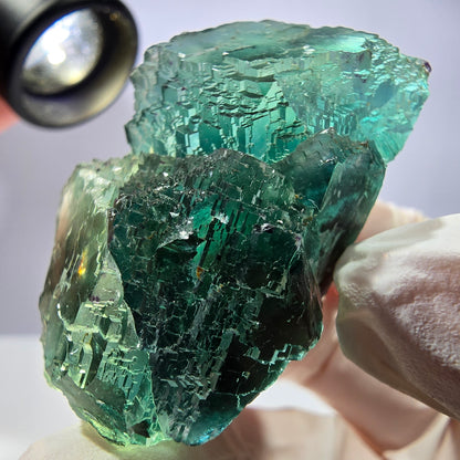 Spécimen de cube de fluorite fantôme transparente, parqueté vert Okorusu, Namibie 49 x 31 x 31 mm 