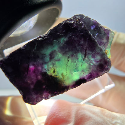 Spécimen de cube de fluorite fantôme, parqueté vert violet Okorusu, Namibie 26*22*13 mm 