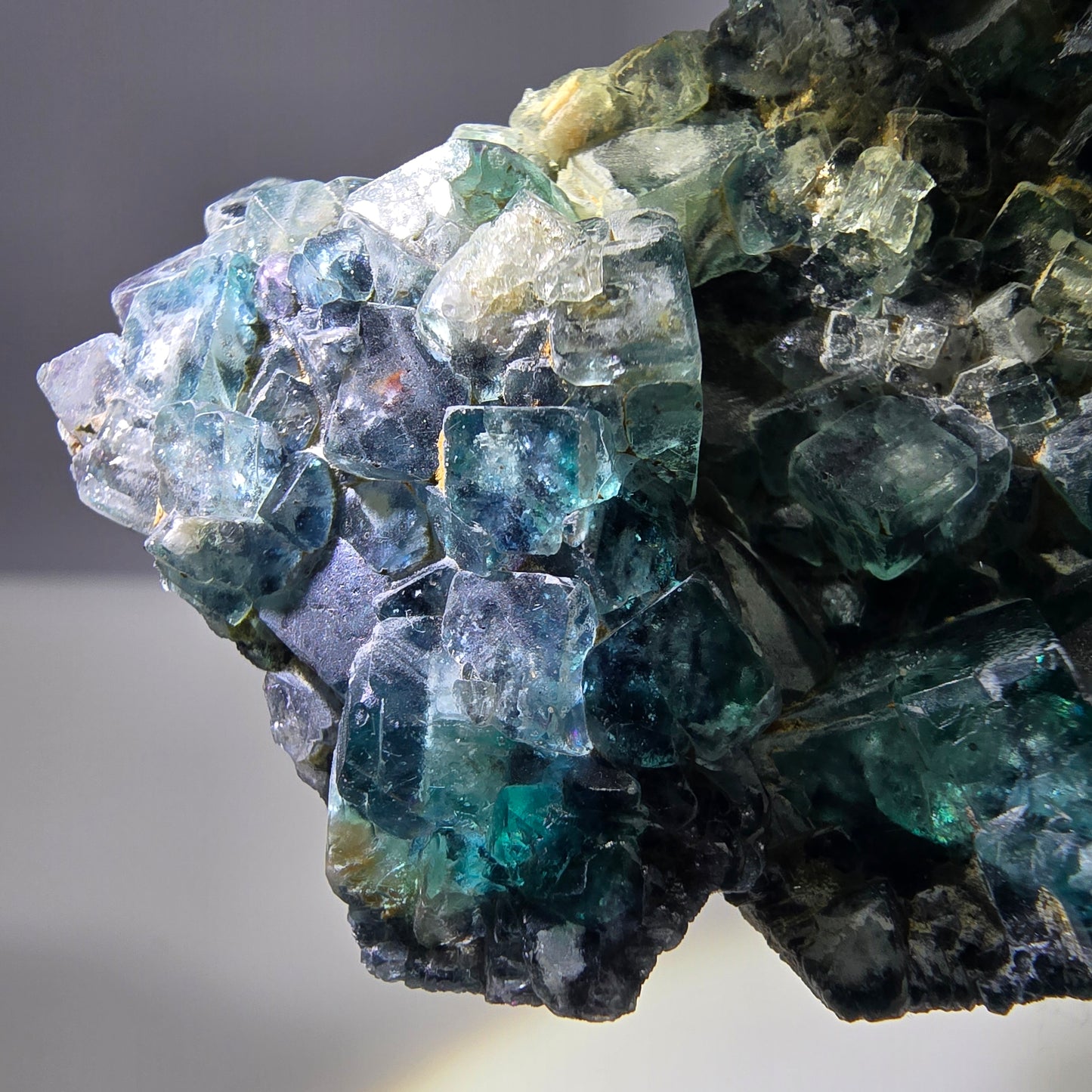 Rares cubes de fluorite fantôme zonaux, vert violet, Erongo, Namibie 75 x 53 x 15 mm 