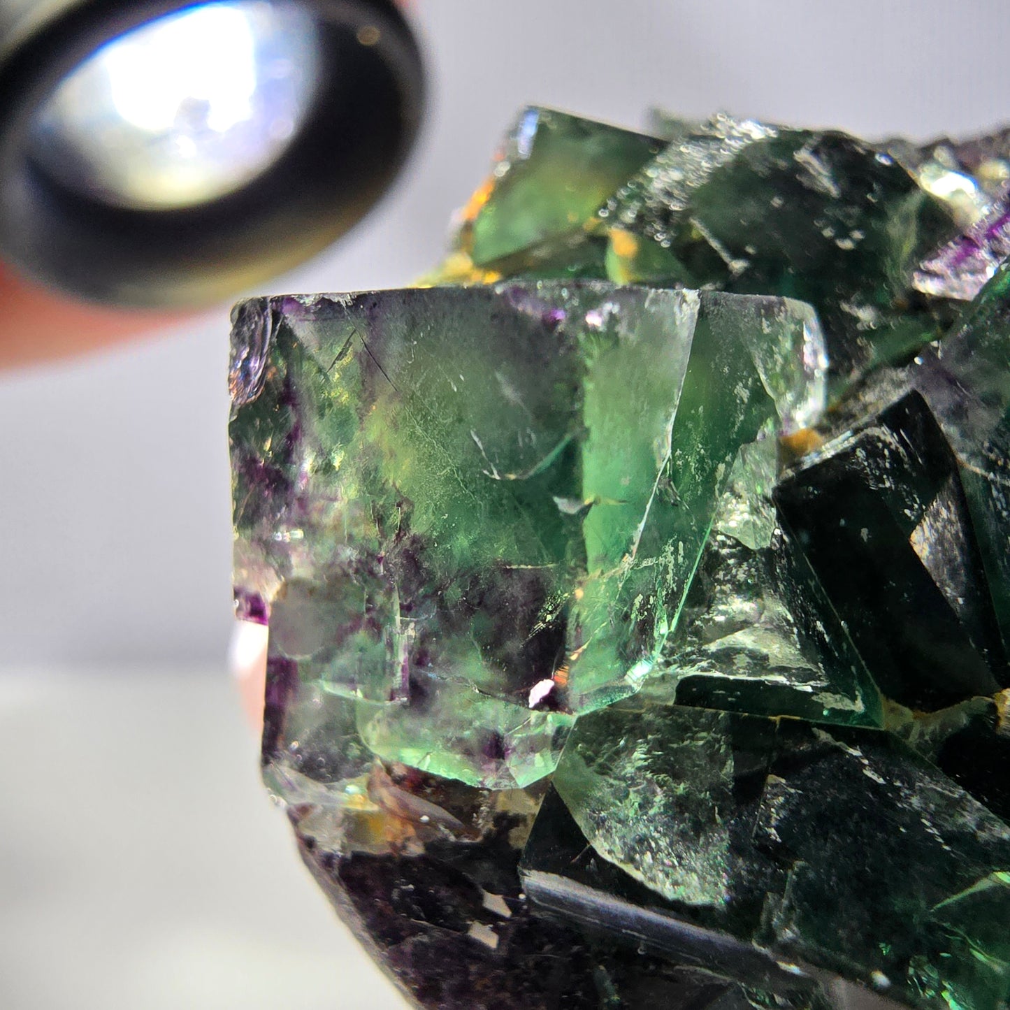 Spécimen de cube de fluorite fantôme, parqueté vert violet Okorusu, Namibie 50*43*30 mm 
