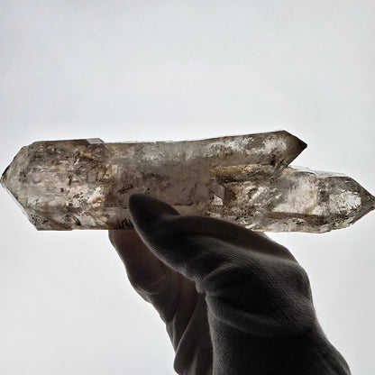 Sceptre XL Enhydro Skeleton Smoky Quartz DT, 4x Bubble Valentine Pocket, Namibie 233 x 54 x 47 mm 