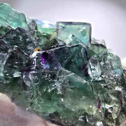Spécimen rare de cube de fluorite fantôme, vert zonal et violet, Okorusu, Namibie, 54 x 23 x 12 mm 