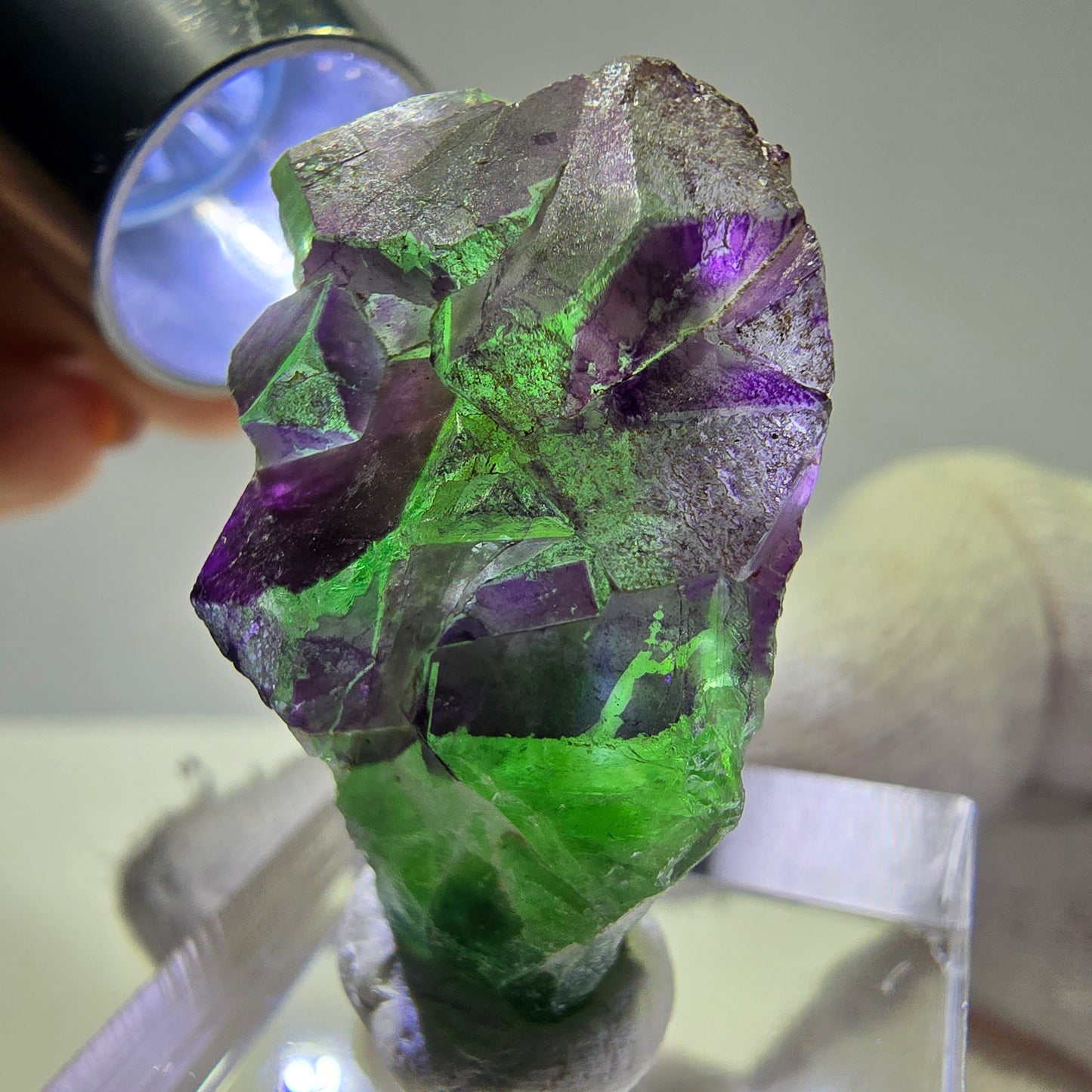 Phantom Fluorit Würfe Stufe, grün lila Erongo, Namibia 32*22*12mm