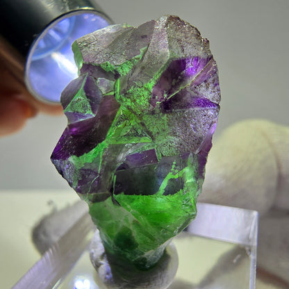 Phantom Fluorit Würfe Stufe, grün lila Erongo, Namibia 32*22*12mm