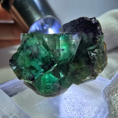 Spécimen rare de cube de fluorite fantôme, vert zonal et violet, Okorusu, Namibie, 29 x 17 x 17 mm 
