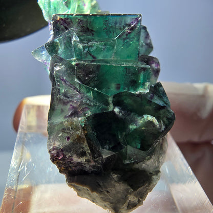 Spécimen de cube de fluorite fantôme, parqueté vert violet Okorusu, Namibie 37*22*13 mm 