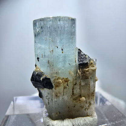 Seltener Aquamarin X mit Schörl Turmalin Erongo, Namibia 22*14*9mm