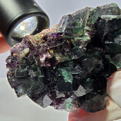 Spécimen de cube de fluorite fantôme parqueté vert violet Okorusu, Namibie 52*42*16 mm 