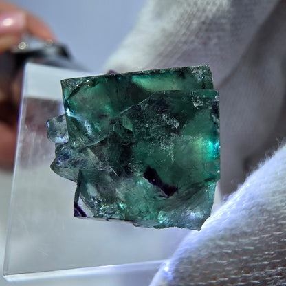 Spécimen rare de cube de fluorite fantôme, vert zonal et violet, Okorusu, Namibie, 25 x 21 x 15 mm 