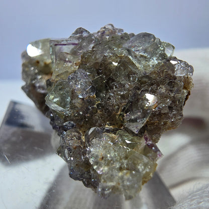 Spécimen zonal de cube de fluorite fantôme, vert violet, Okorusu, Namibie 35 x 22 x 19 mm 