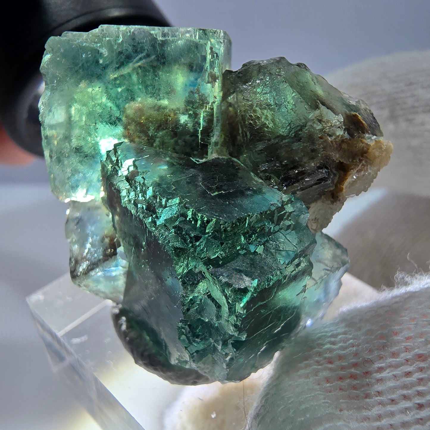 Spécimen de cube de fluorite fantôme parqueté vert turquoise Okorusu, Namibie 37*32*22mm 