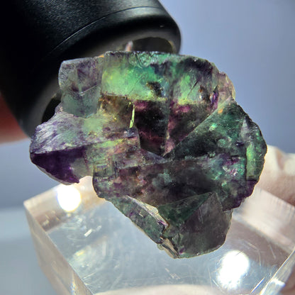Spécimen de cube de fluorite fantôme, parqueté vert violet Okorusu, Namibie 28*21*15 mm 