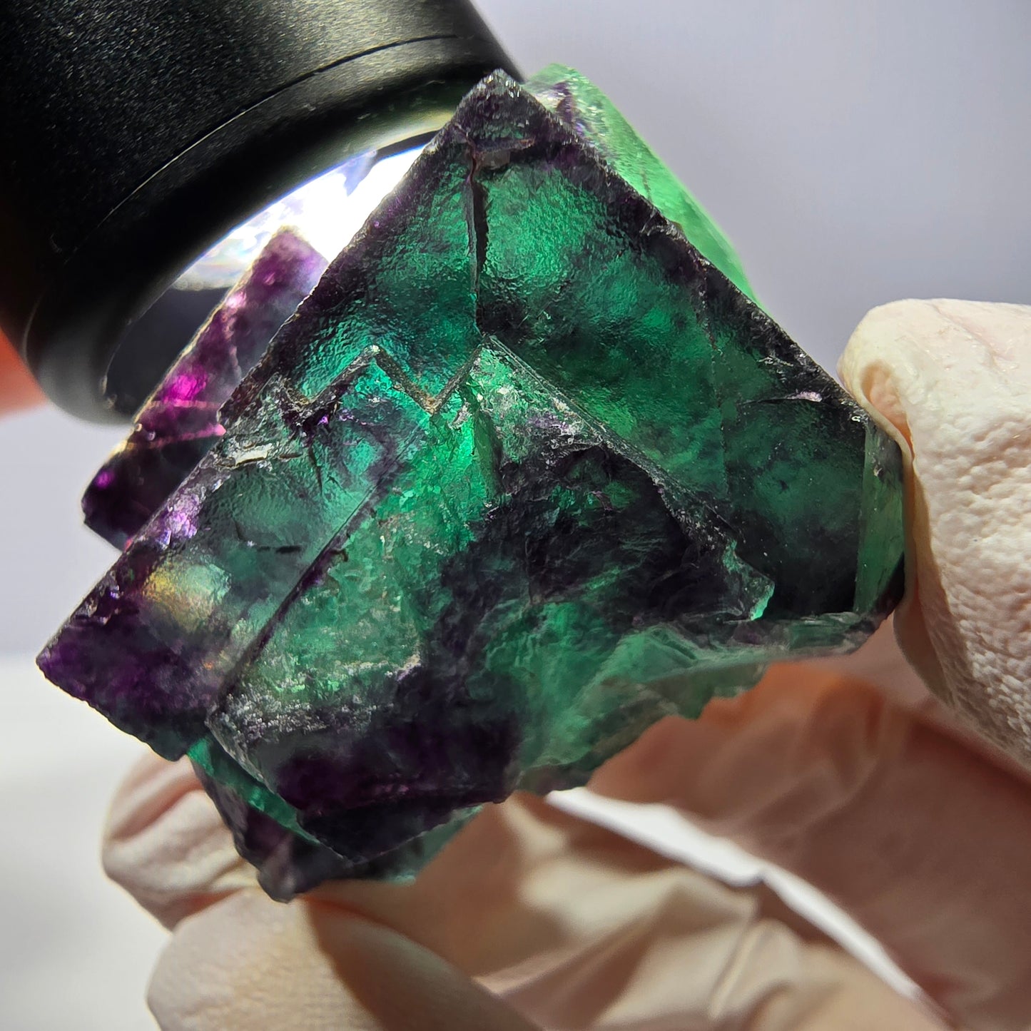Spécimen de cube de fluorite fantôme, parqueté vert violet Okorusu, Namibie 39*33*22 mm 