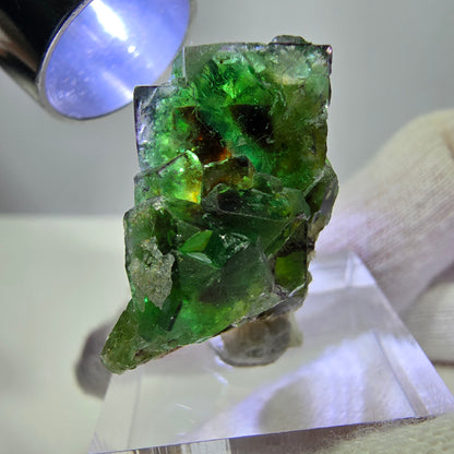 Cube de fluorite fantôme zonal, tourmaline hyalite muscovite Schörl, Erongo, Namibie 24 x 22 x 11 mm 