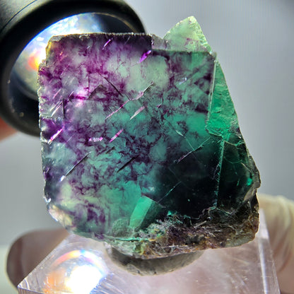 Spécimen rare de cube de fluorite, vert violet, Okorusu, Namibie, 29 x 24 x 23 mm 