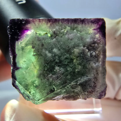 Phantom Fluorit Würfel parkettiert, zonal, grün lila Okorusu, Namibia 21*20*18mm