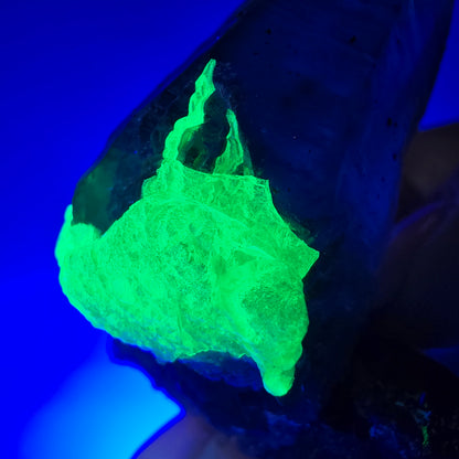 Lemurain Skelett Rauchquarz, Schörl Turmalin, Hyalit Erongo, Namibia 51*38*24mm