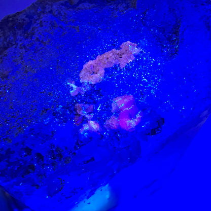 Sceptre de fenêtre Enhydro en quartz fumé, grande bulle, poche Saint-Valentin, Namibie, 88 x 64 x 36 mm 