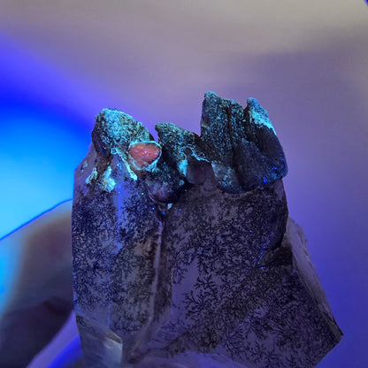 Quartz fumé squelette fantôme Enhydro, DT, calcite UV, Valentine Pocket Gob. Namibie, 107 x 41 x 27 mm 