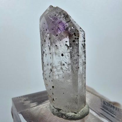 Améthyste fantôme avec hématite, mine Streep, Goboboseb, Namibie, 33 x 14 x 11 mm 