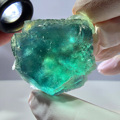 Spécimen de cube de fluorite fantôme transparente, vert parqueté, Okorusu, Namibie, 48 x 29 x 27 mm 