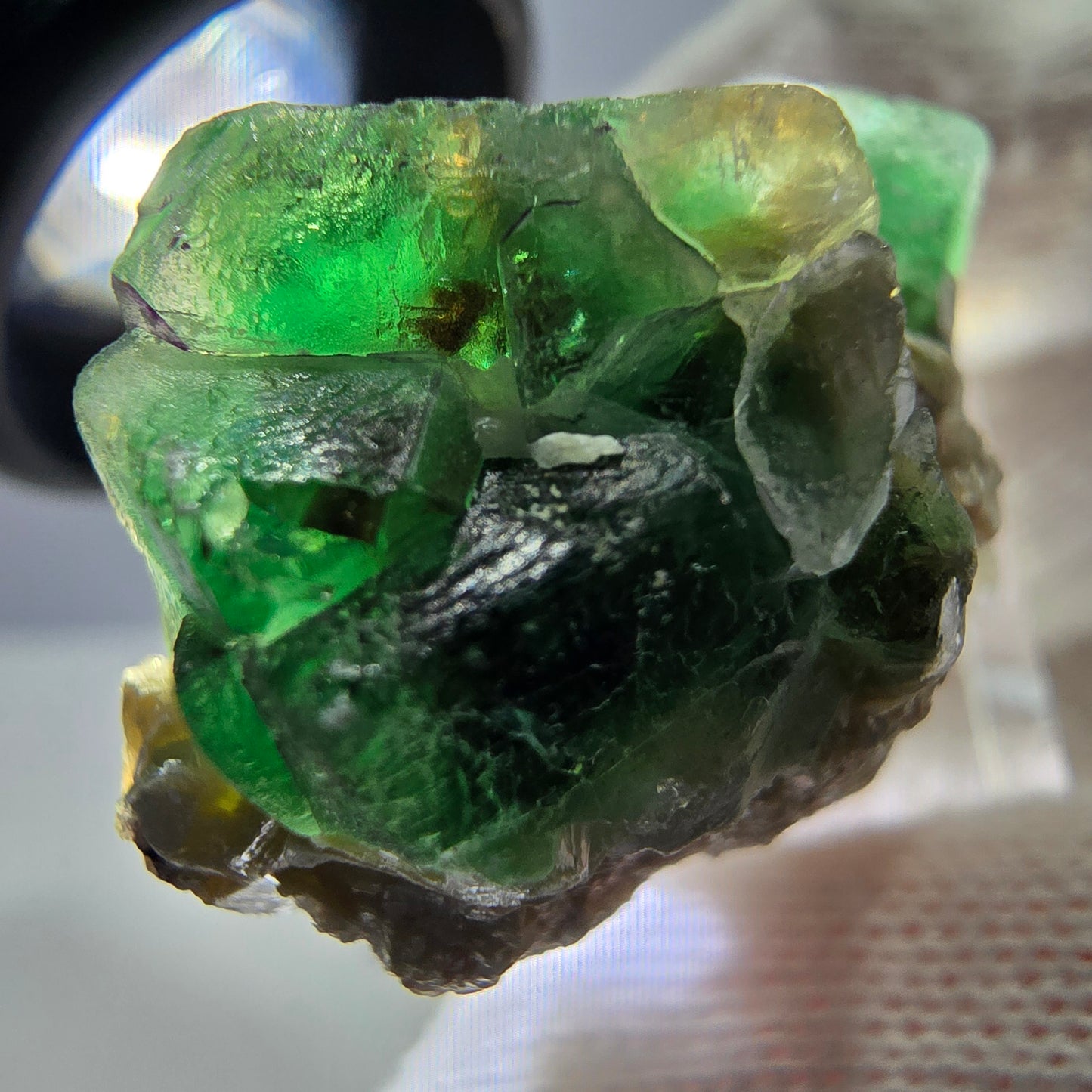 Cube de fluorite fantôme zonal, muscovite, spécimen d'hyalite, Erongo, Namibie, 34 x 28 x 22 mm 
