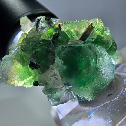 Spécimen de fluorite fantôme, tourmaline Schorl et quartz fumé, Erongo, Namibie, 31 x 25 x 17 mm 