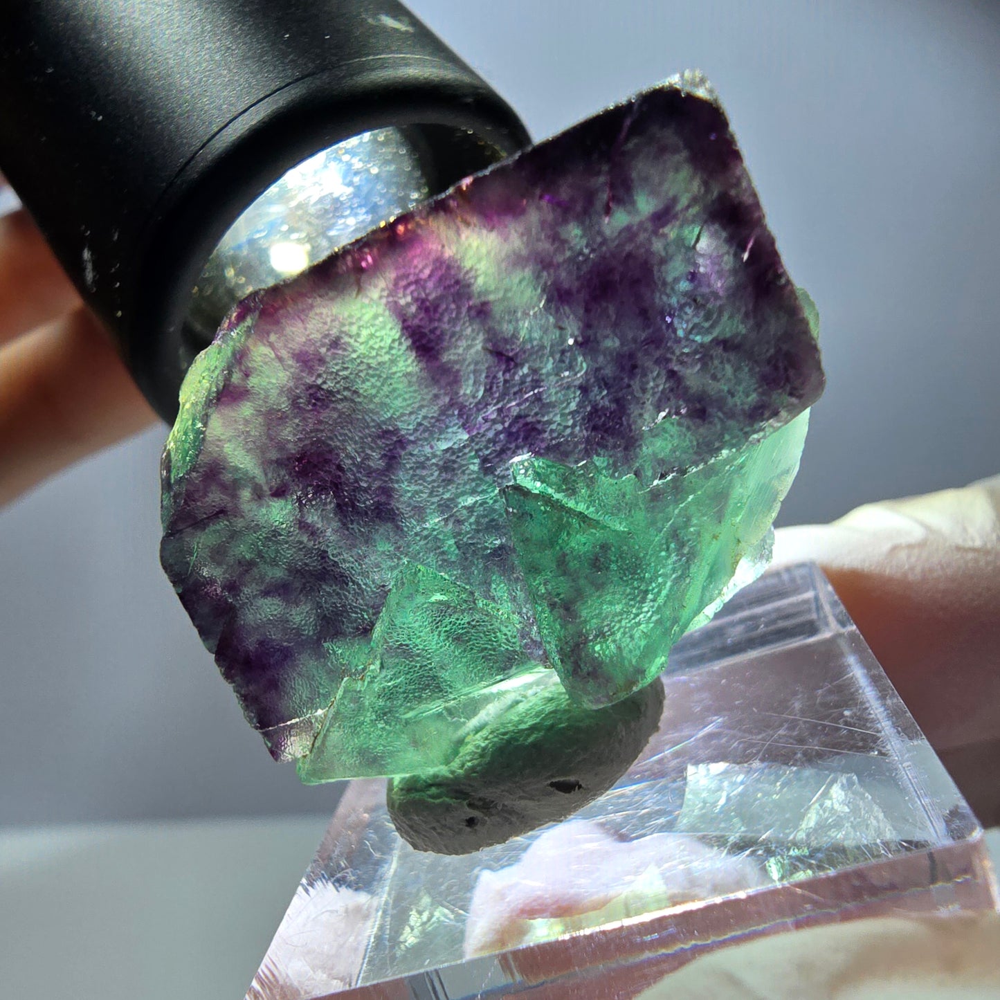 Spécimen rare de cube de fluorite, vert violet, Okorusu, Namibie, 29 x 26 x 15 mm 