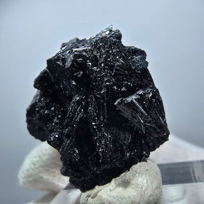 Magnifique spécimen de tourmaline Schorl et de quartz, Erongo, Namibie, 29 x 28 x 16 mm 