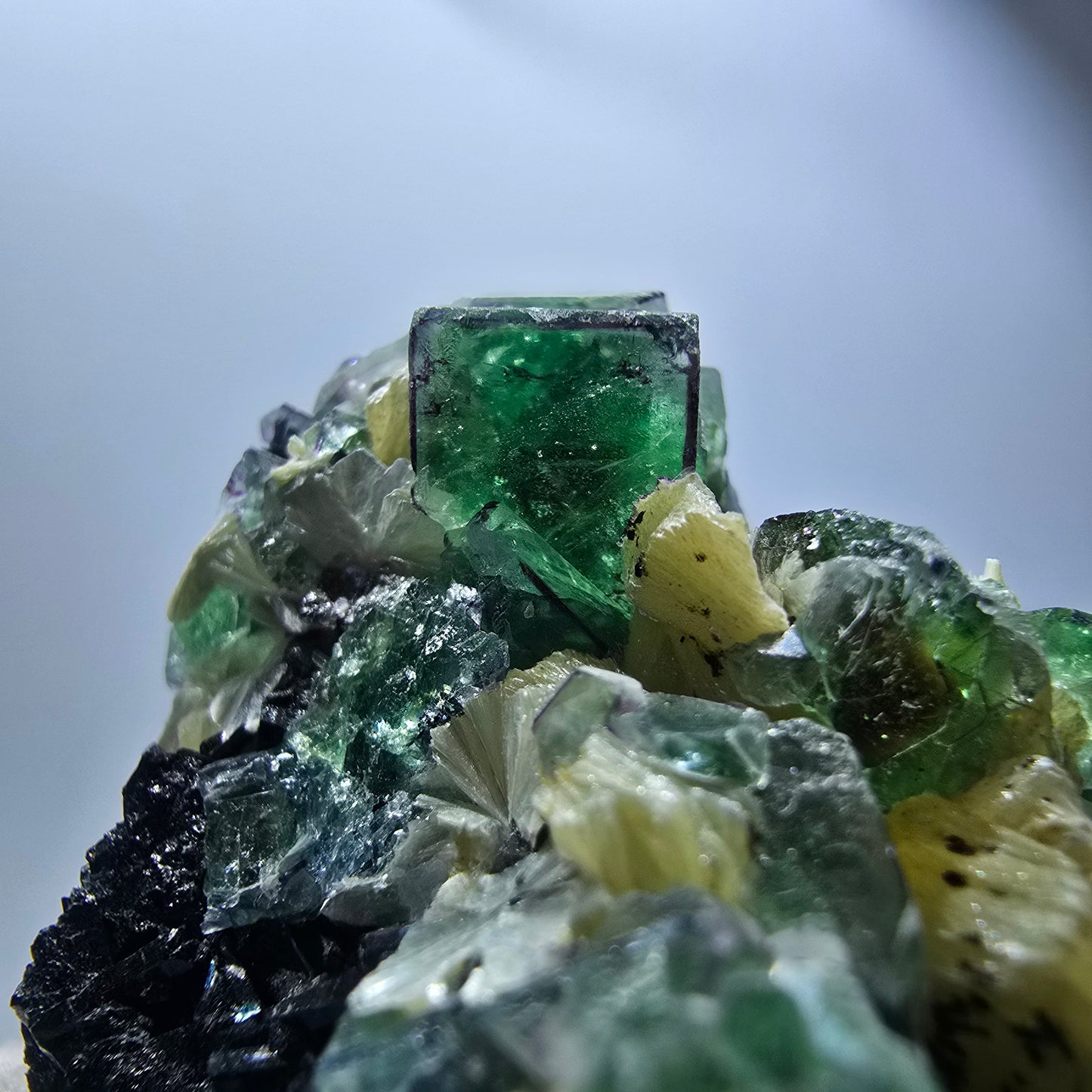 Phantom Fluorit, Rauchquarz, Muskovit, Schörl Turmalin Erongo Namibia 53*49*30mm