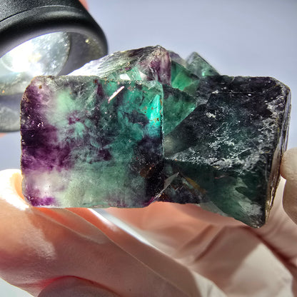Spécimen de cube de fluorite fantôme parqueté vert violet Okorusu, Namibie 44*35*21mm 