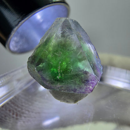 Phantom Fluorit Würfe, hexagonal, grün weiß Erongo, Namibia 12*9*9mm