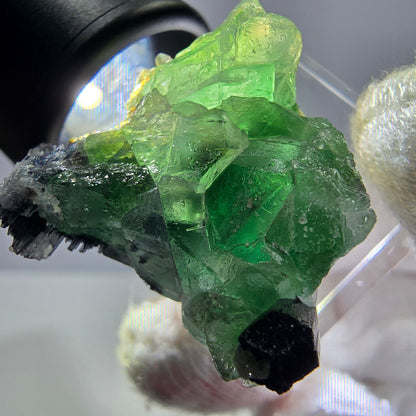 Fluorite fantôme, tourmaline Schörl, muscovite, hyalite, stade Erongo, Namibie 27*25*20 mm 