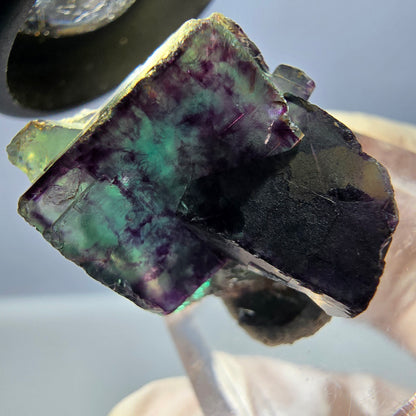Spécimen de cube de fluorite fantôme, parqueté vert violet Okorusu, Namibie 24 x 19 x 17 mm 