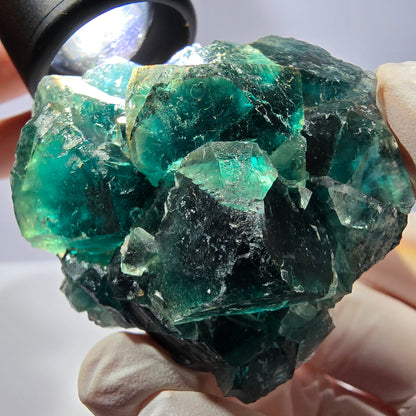 Spécimen de cube de fluorite fantôme, parqueté vert violet Okorusu, Namibie 53*49*28 mm 
