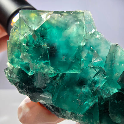 Spécimen de cube de fluorite fantôme transparente, vert parqueté, Okorusu, Namibie, 58 x 45 x 16 mm 