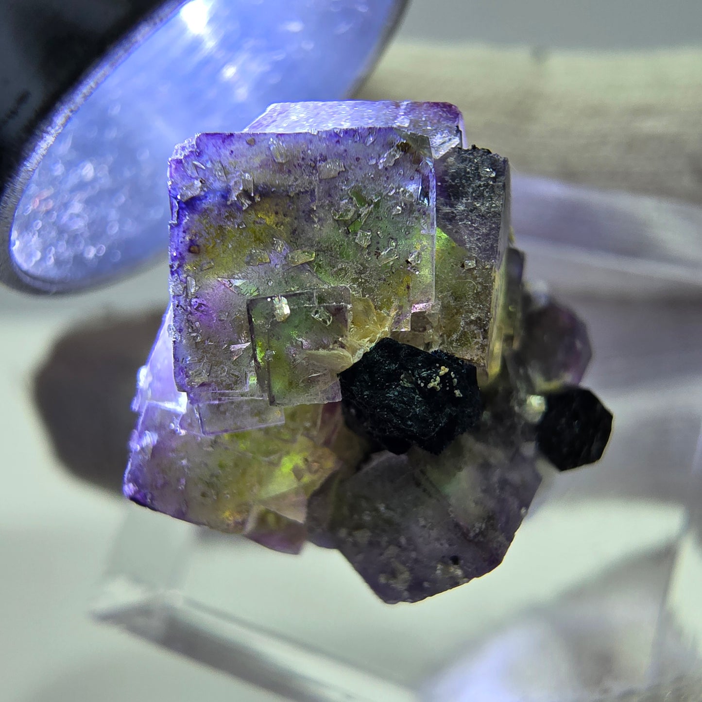 Fluorite fantôme colorée, Spécimen de tourmaline muscovite Schorl, Erongo, Namibie, 20 x 16 x 16 mm 