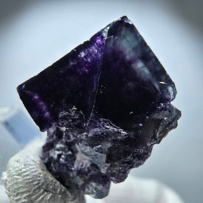 Spécimen rare de cube de fluorite fantôme, vert zonal et violet, Okorusu, Namibie, 25 x 18 x 14 mm 