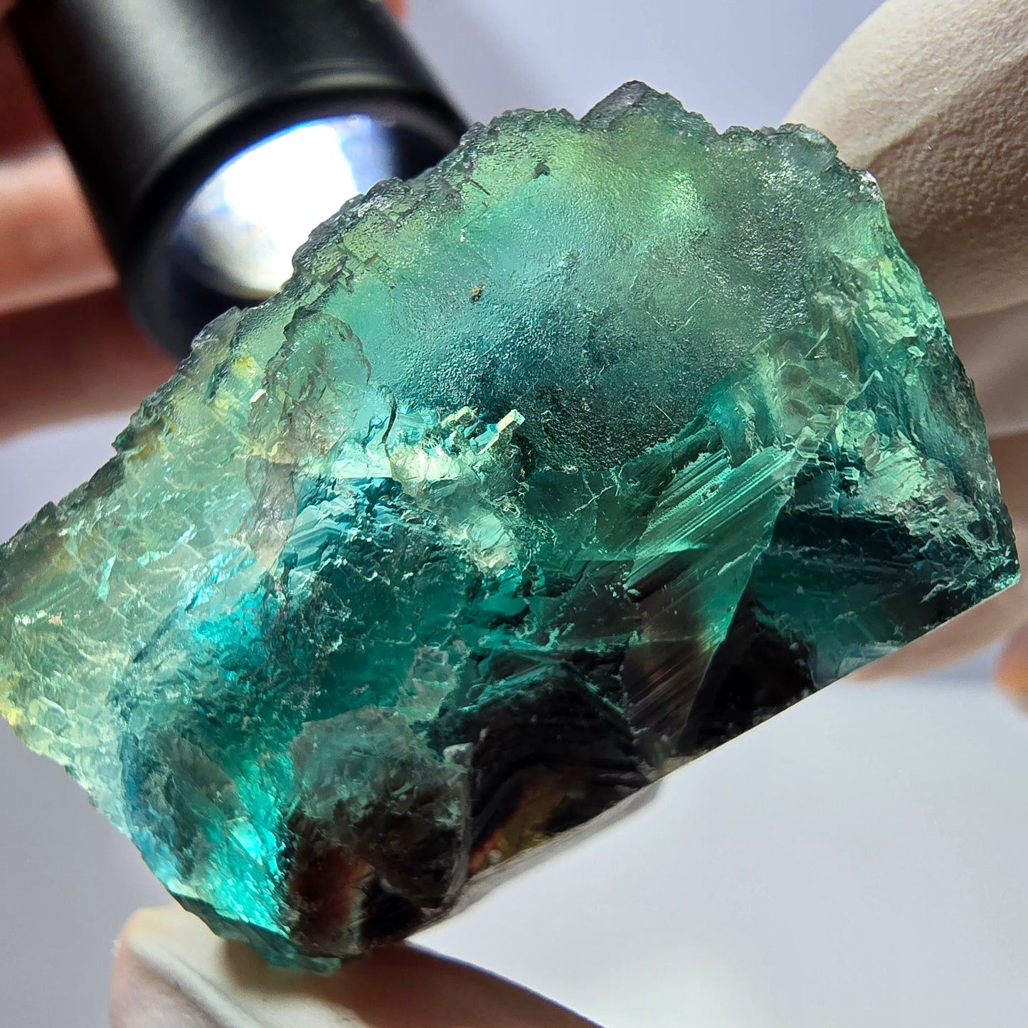 Spécimen de cube de fluorite fantôme, parqueté vert violet Okorusu, Namibie 45*43*31 mm 